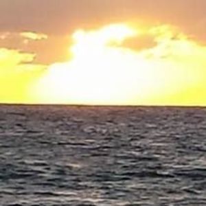 Meet your Posher, Raegan